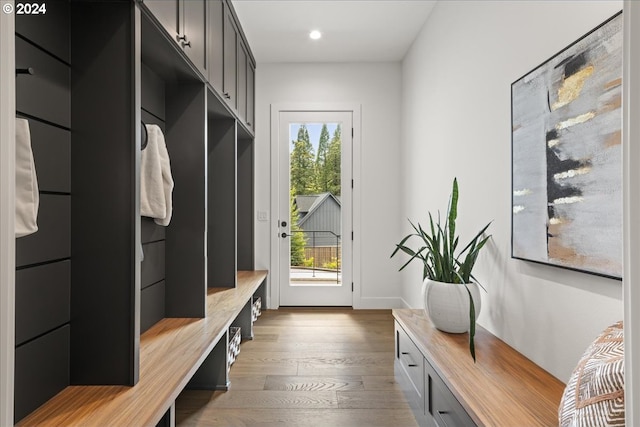 mudroom with hardwood / wood-style flooring