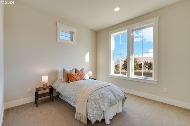 bedroom featuring carpet flooring