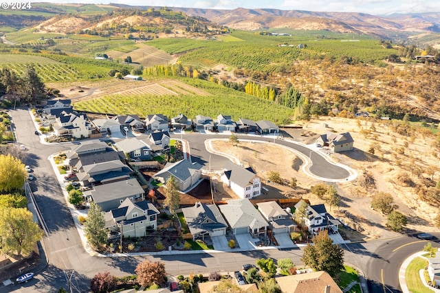 drone / aerial view featuring a mountain view