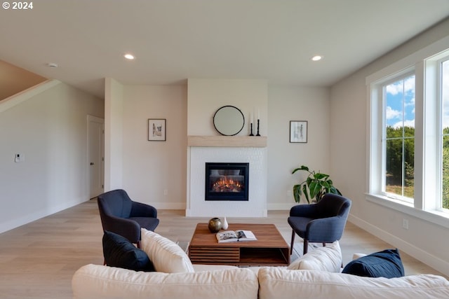 living room featuring light hardwood / wood-style flooring