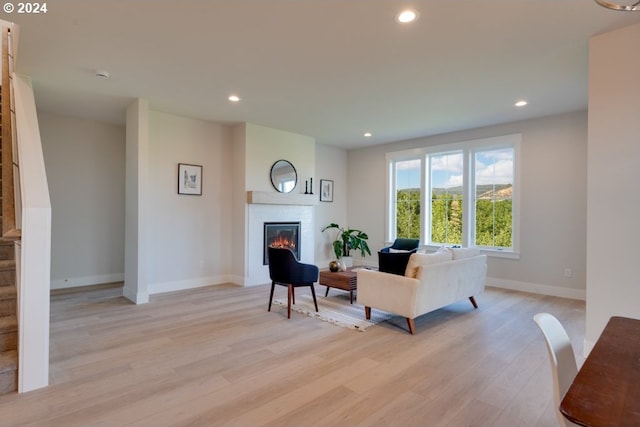 living room with a fireplace and light hardwood / wood-style floors