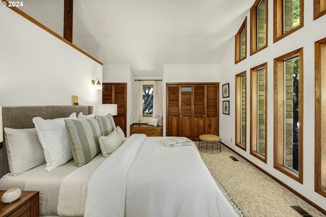 bedroom featuring multiple windows, carpet, and a high ceiling