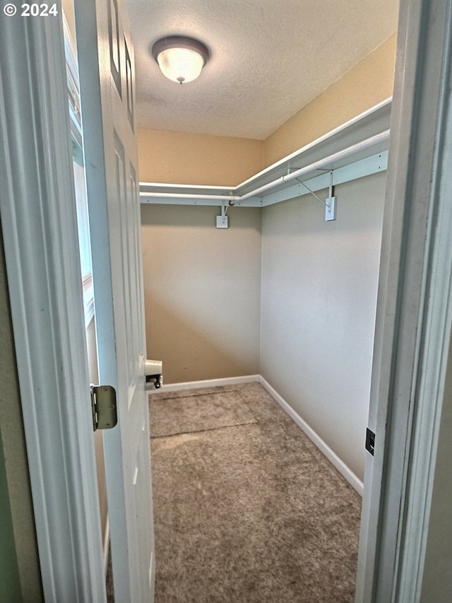 walk in closet with carpet floors