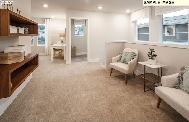 living area featuring light colored carpet