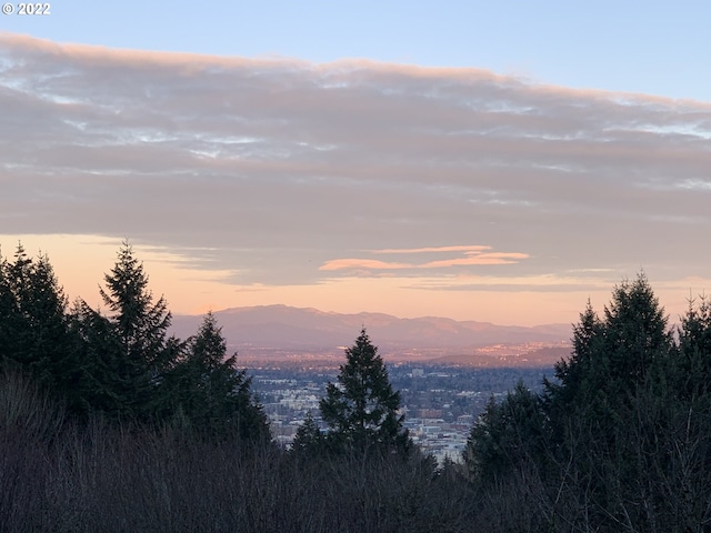 property view of mountains