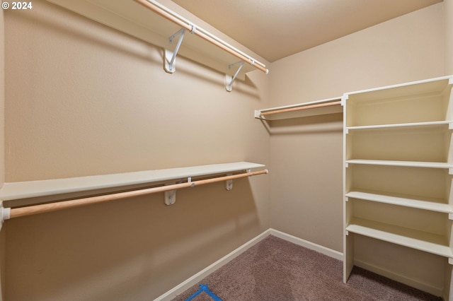 spacious closet featuring carpet flooring