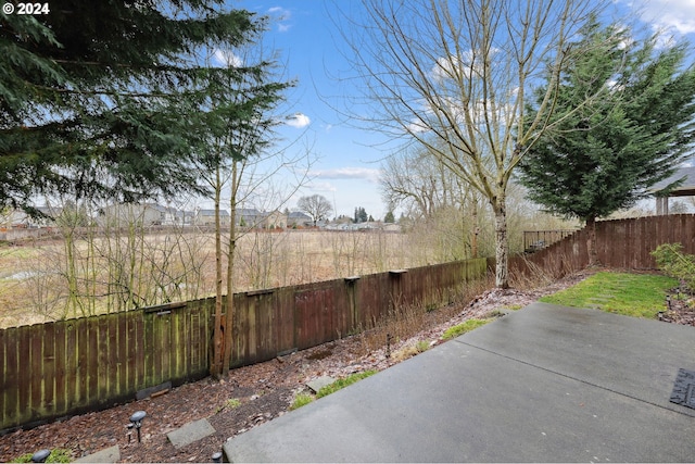 view of yard featuring a patio area