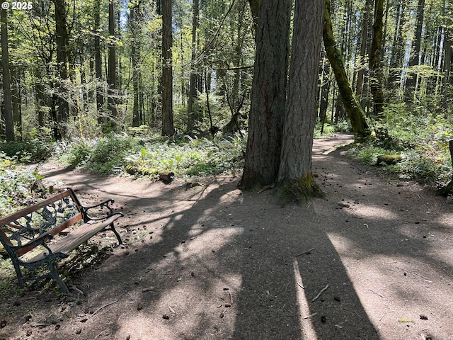 view of nature featuring a wooded view