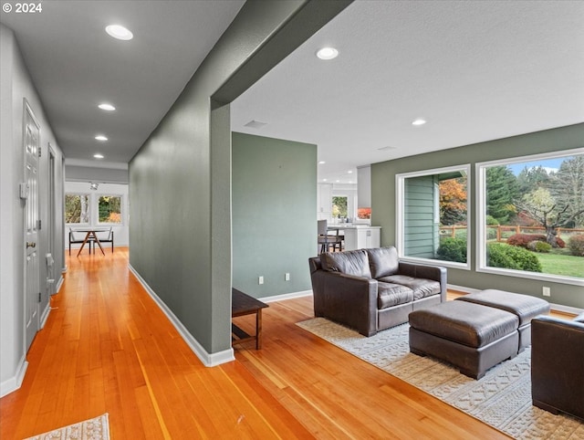 living room featuring wood-type flooring