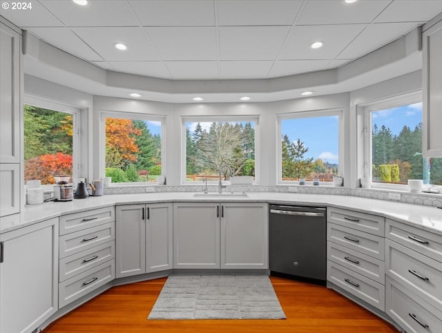 kitchen featuring dishwasher, sink, and light hardwood / wood-style floors