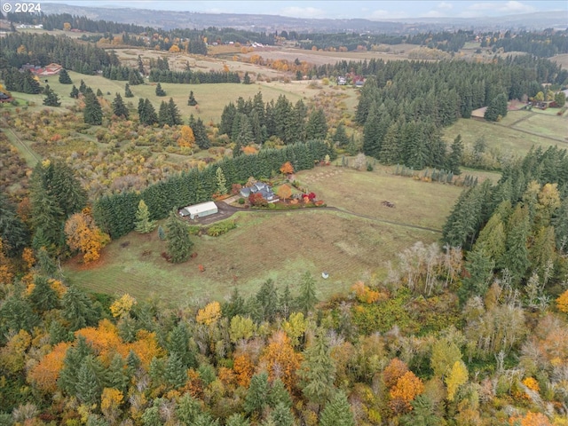 aerial view with a rural view