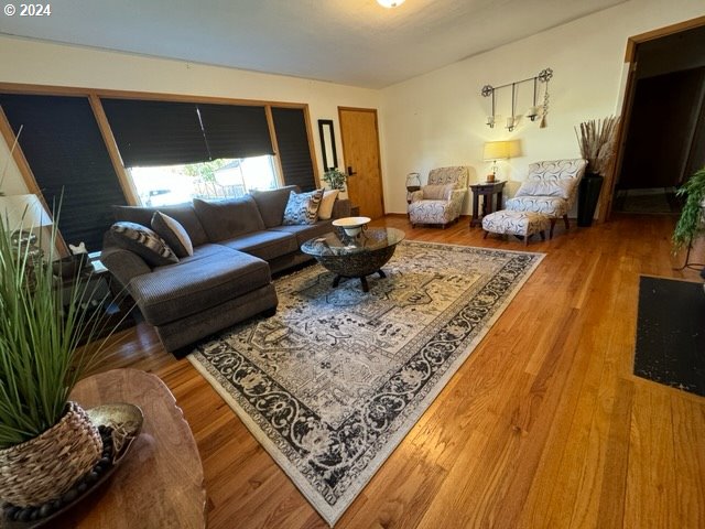 living room featuring hardwood / wood-style flooring