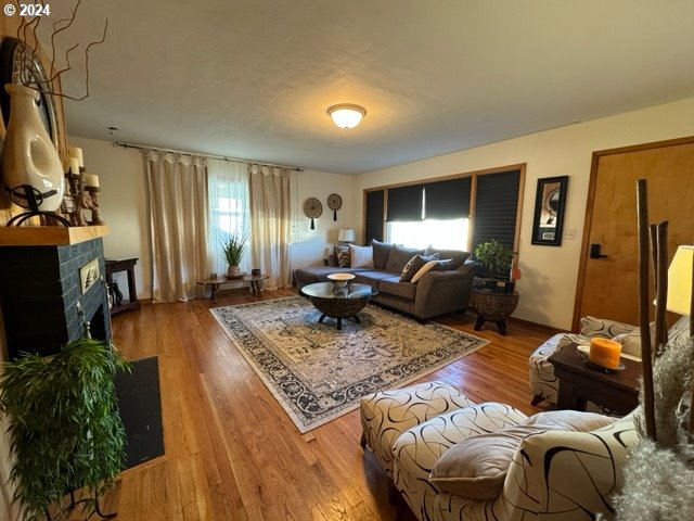 living room featuring a fireplace and hardwood / wood-style flooring