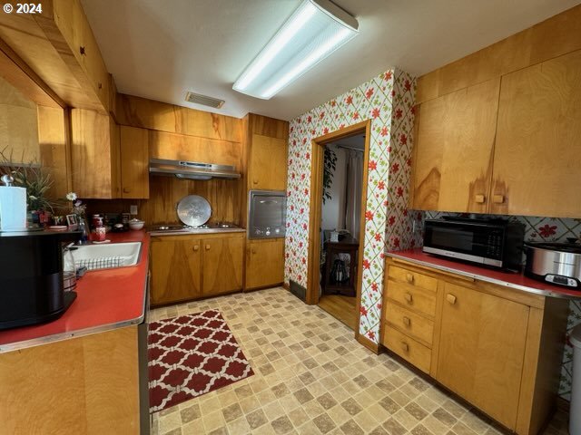 kitchen with sink and range hood