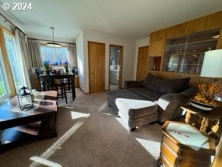 living room with carpet and a healthy amount of sunlight