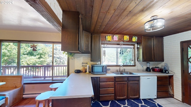 kitchen featuring sink, dishwasher, baseboard heating, and plenty of natural light