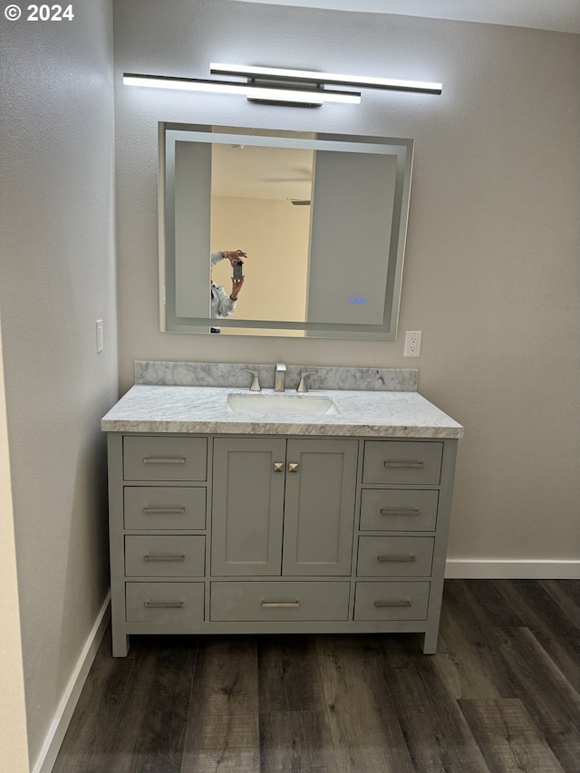 bathroom with wood-type flooring and vanity