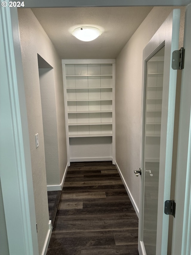 spacious closet with dark hardwood / wood-style floors