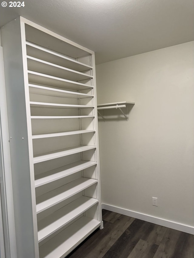 spacious closet featuring dark hardwood / wood-style flooring