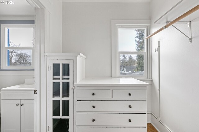 bedroom featuring crown molding, light hardwood / wood-style floors, and multiple windows