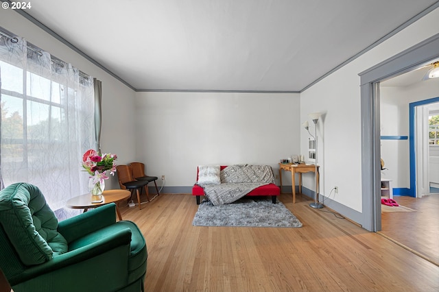 interior space featuring ornamental molding and light wood-type flooring