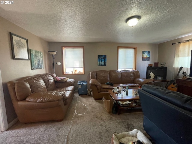 carpeted living room featuring a textured ceiling