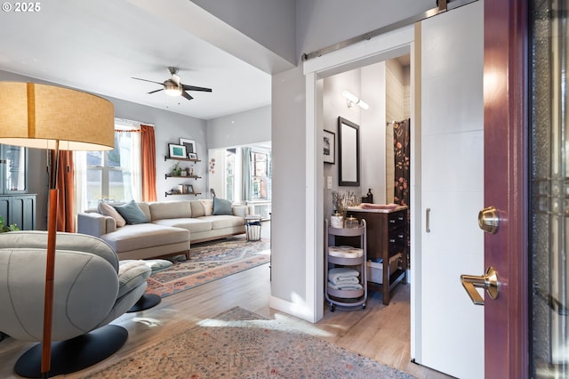 living room with a barn door, ceiling fan, plenty of natural light, and light wood-type flooring