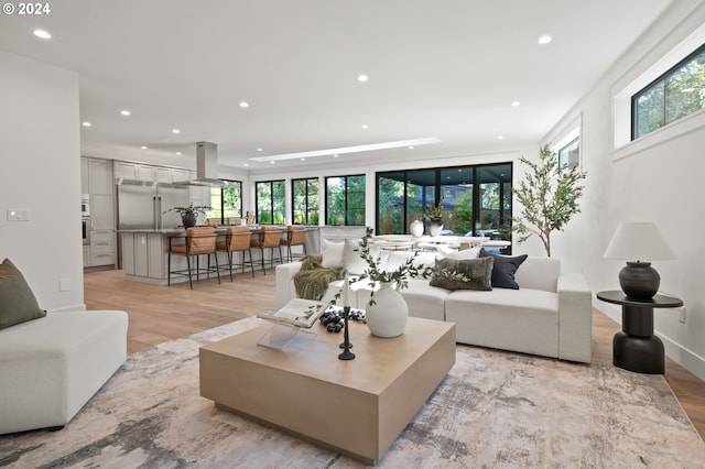 living room with light hardwood / wood-style flooring