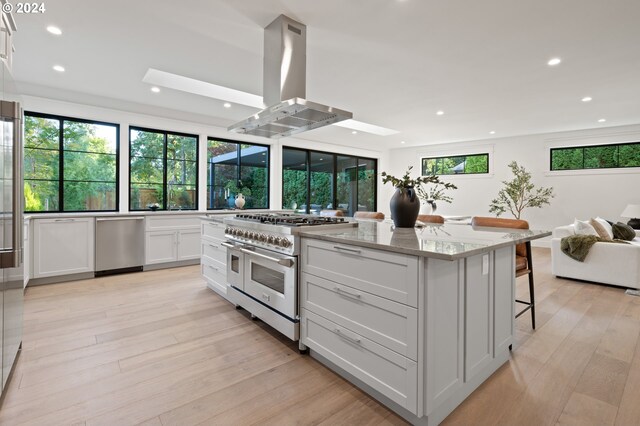 kitchen with stainless steel appliances, light hardwood / wood-style floors, island exhaust hood, and a healthy amount of sunlight