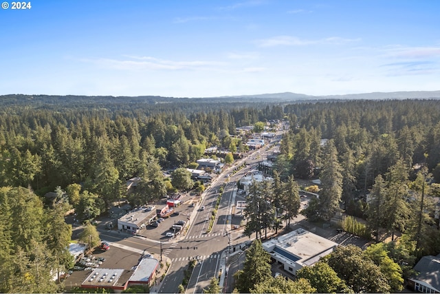 aerial view with a view of trees