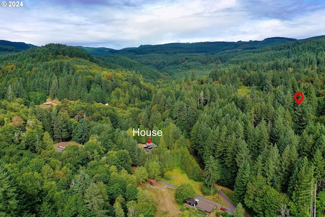 birds eye view of property featuring a mountain view