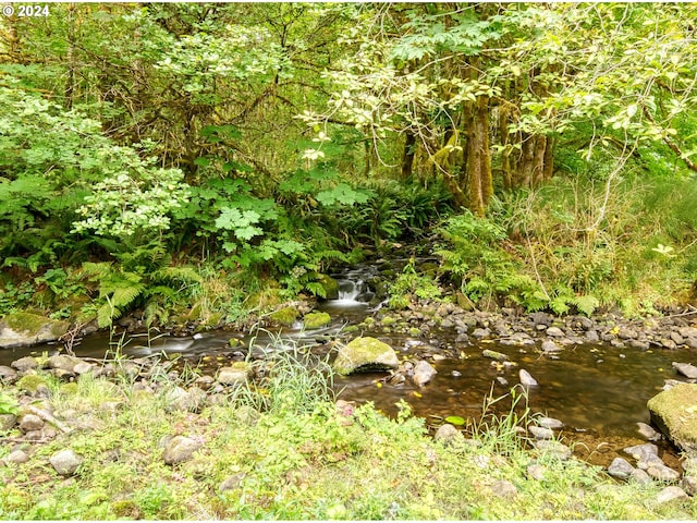 view of nature featuring a water view