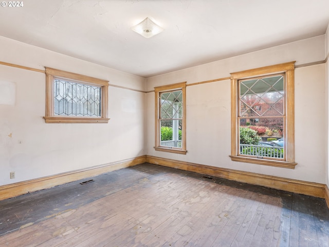 spare room featuring wood-type flooring