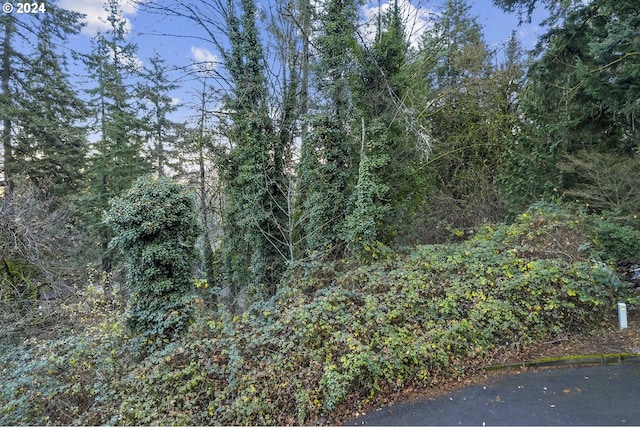 Listing photo 3 for 18520 Hillside Ct, West Linn OR 97068