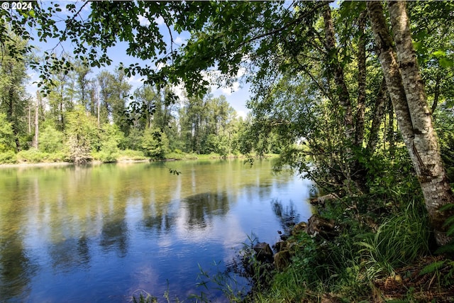 property view of water