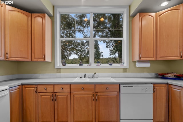 kitchen with white dishwasher and sink