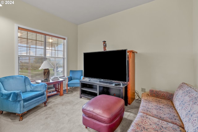 living room with light carpet