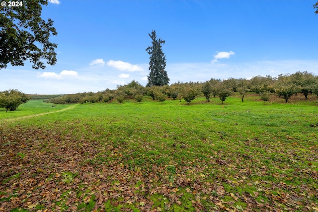 view of yard featuring a rural view