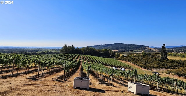 property view of mountains with a rural view