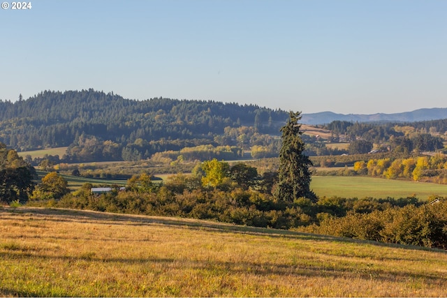 mountain view with a rural view