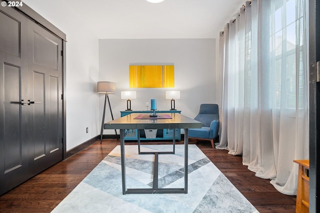 office featuring dark hardwood / wood-style floors