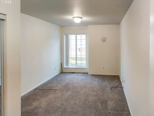 spare room with carpet floors