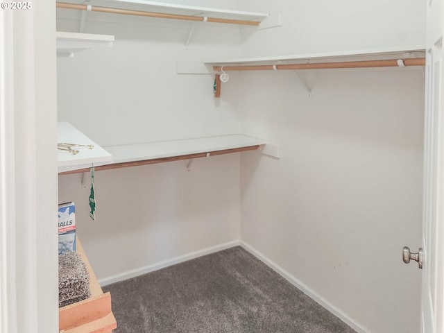 walk in closet with dark carpet