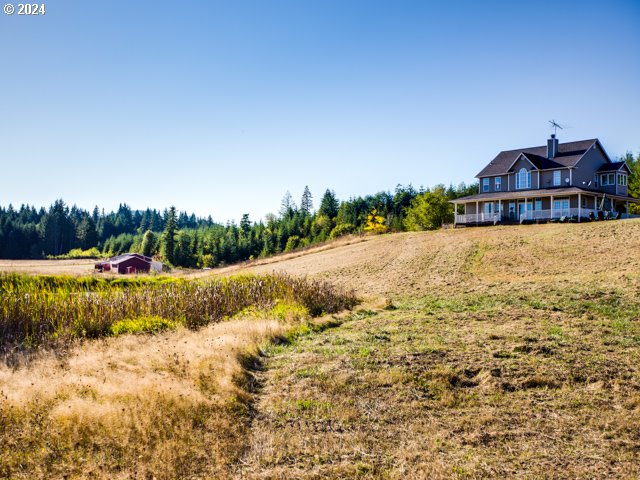 view of yard featuring a rural view