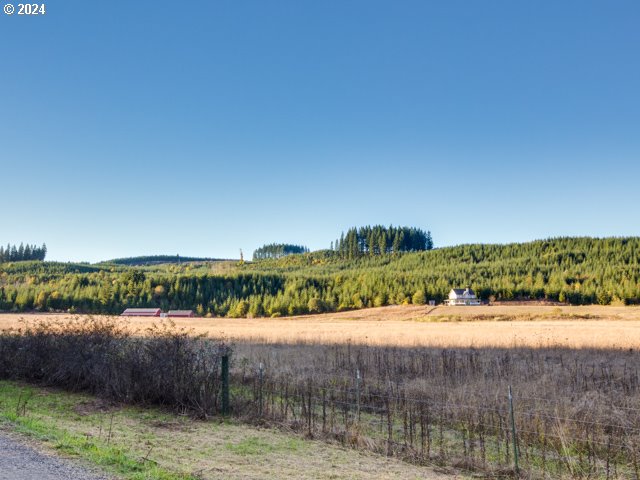 view of landscape featuring a rural view