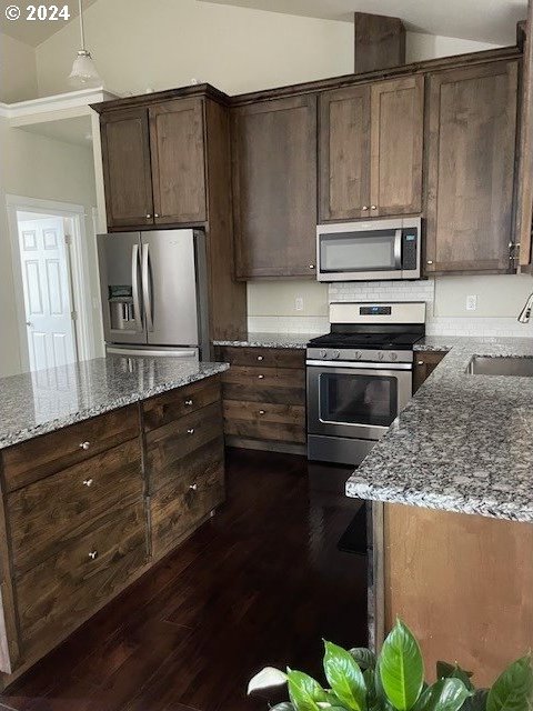 kitchen with stone countertops, stainless steel appliances, lofted ceiling, dark hardwood / wood-style floors, and sink