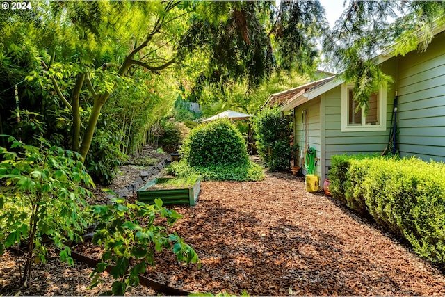 view of yard featuring a garden