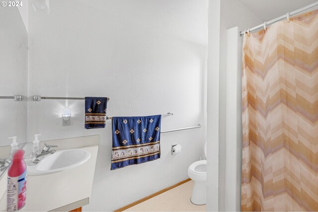 bathroom with vanity, toilet, and curtained shower