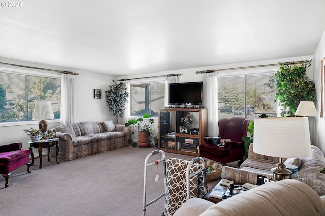 carpeted living room featuring plenty of natural light