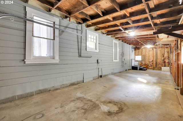 basement with wood walls